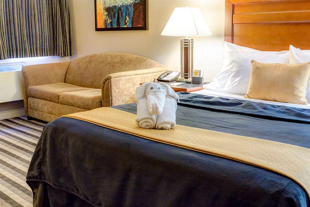 Quality Inn West Edmonton Ngoại thất bức ảnh